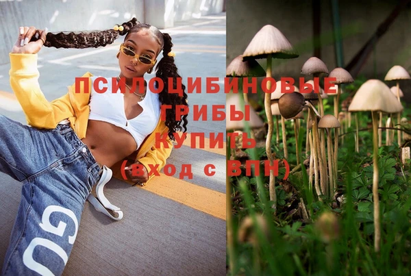 гидропоника Армянск