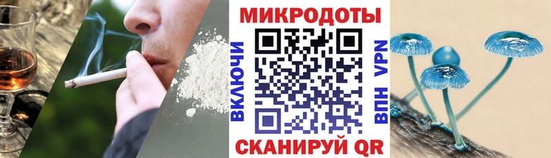 Купить где  Красноармейск  Псилоцибиновые грибы GOLDEN TEACHER 